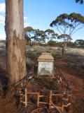 image of grave number 513031